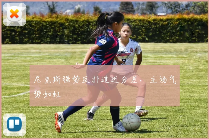 尼克斯强势反扑追近分差,主场气势如虹
